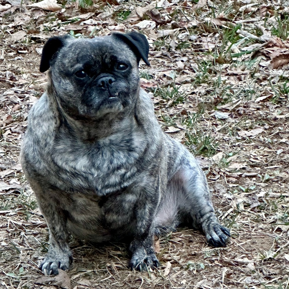 Meet your Posher, Mari